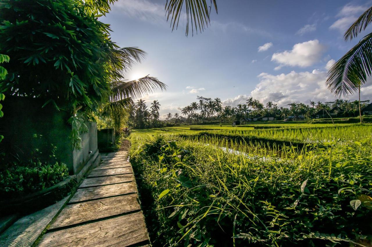 Villa Natha Ubud  Exterior photo